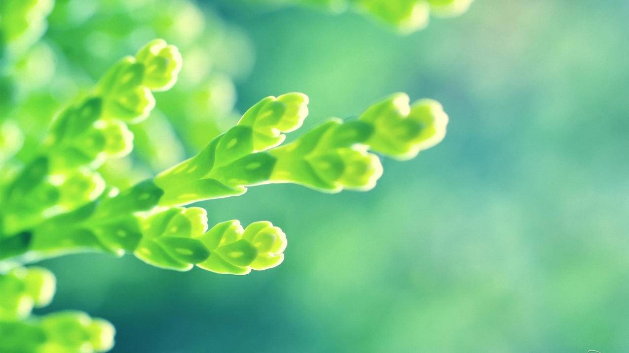 抖音点赞充值秒到账便宜-抖音赞自助平台24小时服务-快手点赞秒到账便宜